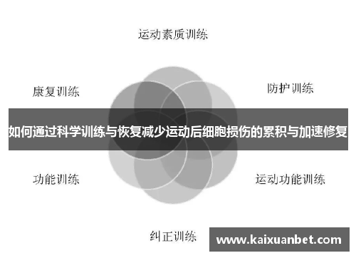 如何通过科学训练与恢复减少运动后细胞损伤的累积与加速修复